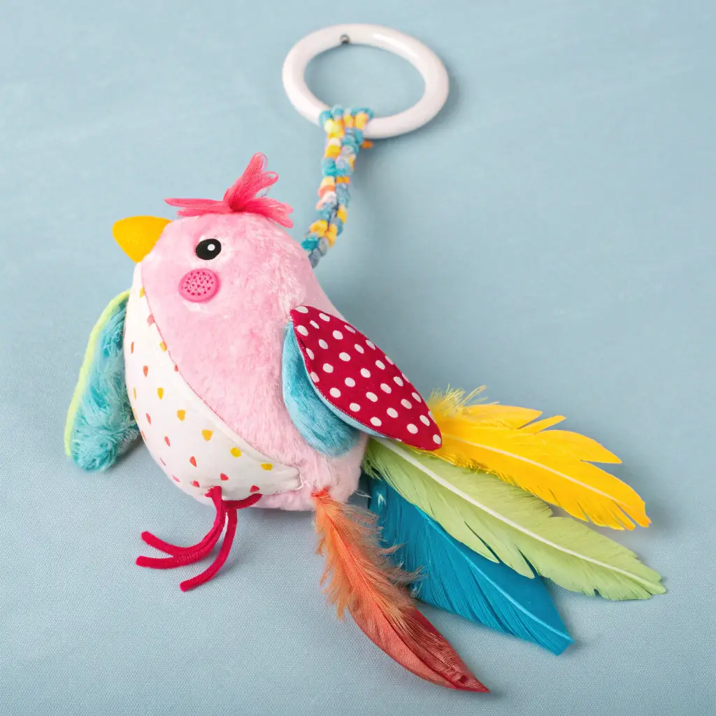 Squeaky Bird Toy
